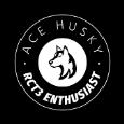 AceHuskyProductions