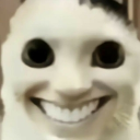 dashisawesome