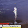 Tom Robert